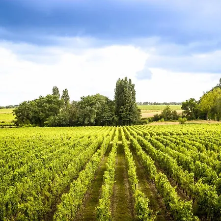 La Chartreuse Du Chateau La Garde 3* Martillac