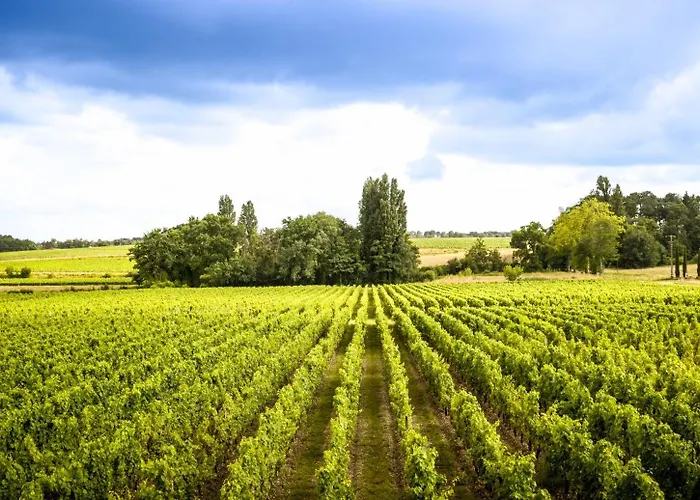 La Chartreuse Du Château La Garde 3* Martillac